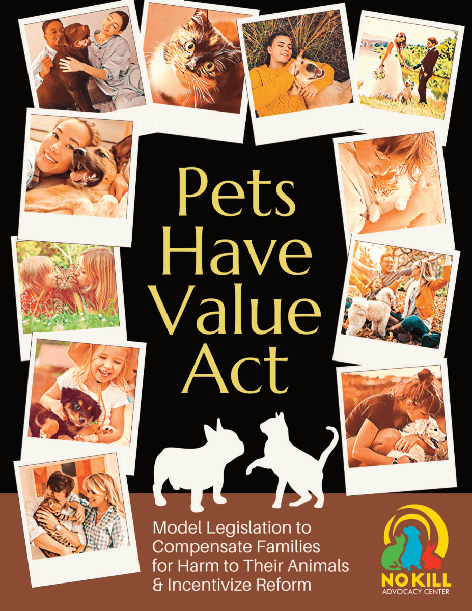 Pets Have Value